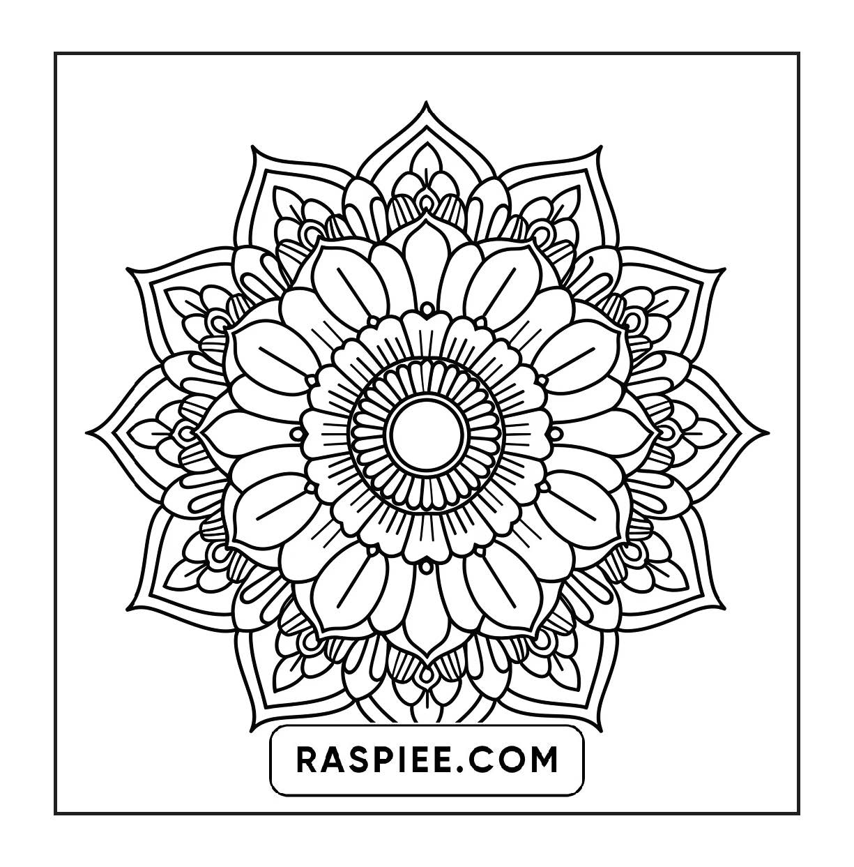 250 Mandala Adult Coloring Pages Vol.2
