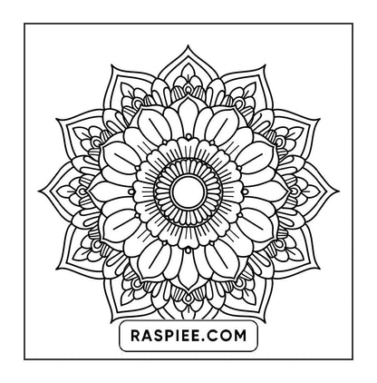 250 Mandala Adult Coloring Pages Vol.2