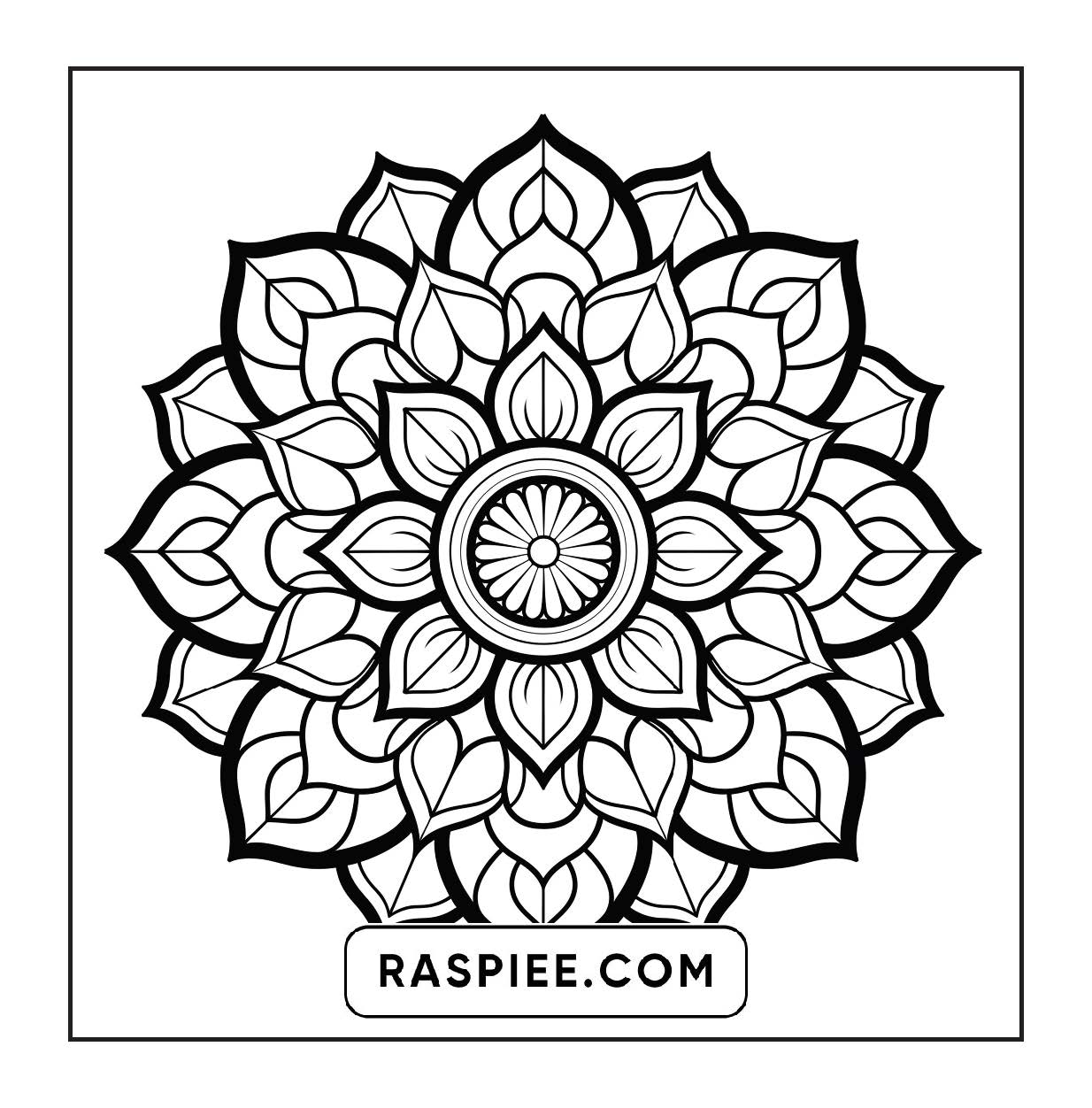 250 Mandala Adult Coloring Pages Vol.2