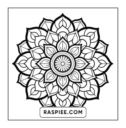250 Mandala Adult Coloring Pages Vol.2