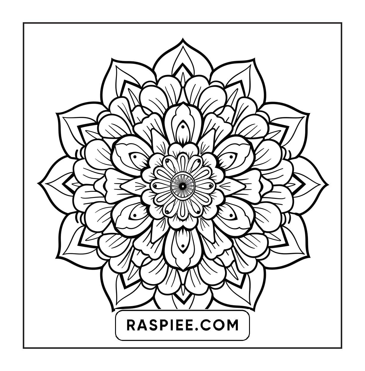250 Mandala Adult Coloring Pages Vol.2