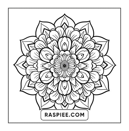 250 Mandala Adult Coloring Pages Vol.2