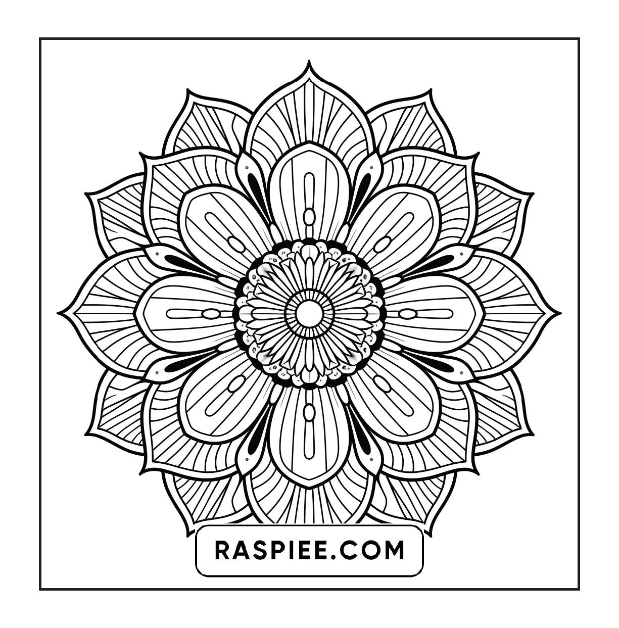 250 Mandala Adult Coloring Pages Vol.2