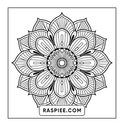 250 Mandala Adult Coloring Pages Vol.2