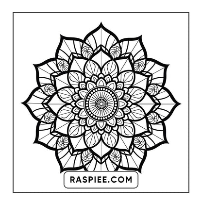 250 Mandala Adult Coloring Pages Vol.2