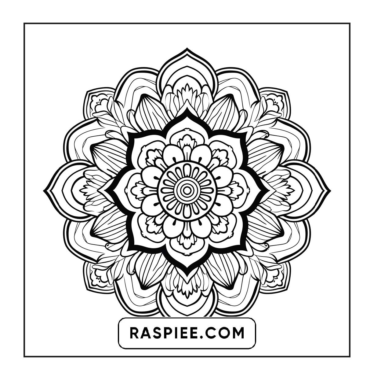 250 Mandala Adult Coloring Pages Vol.2