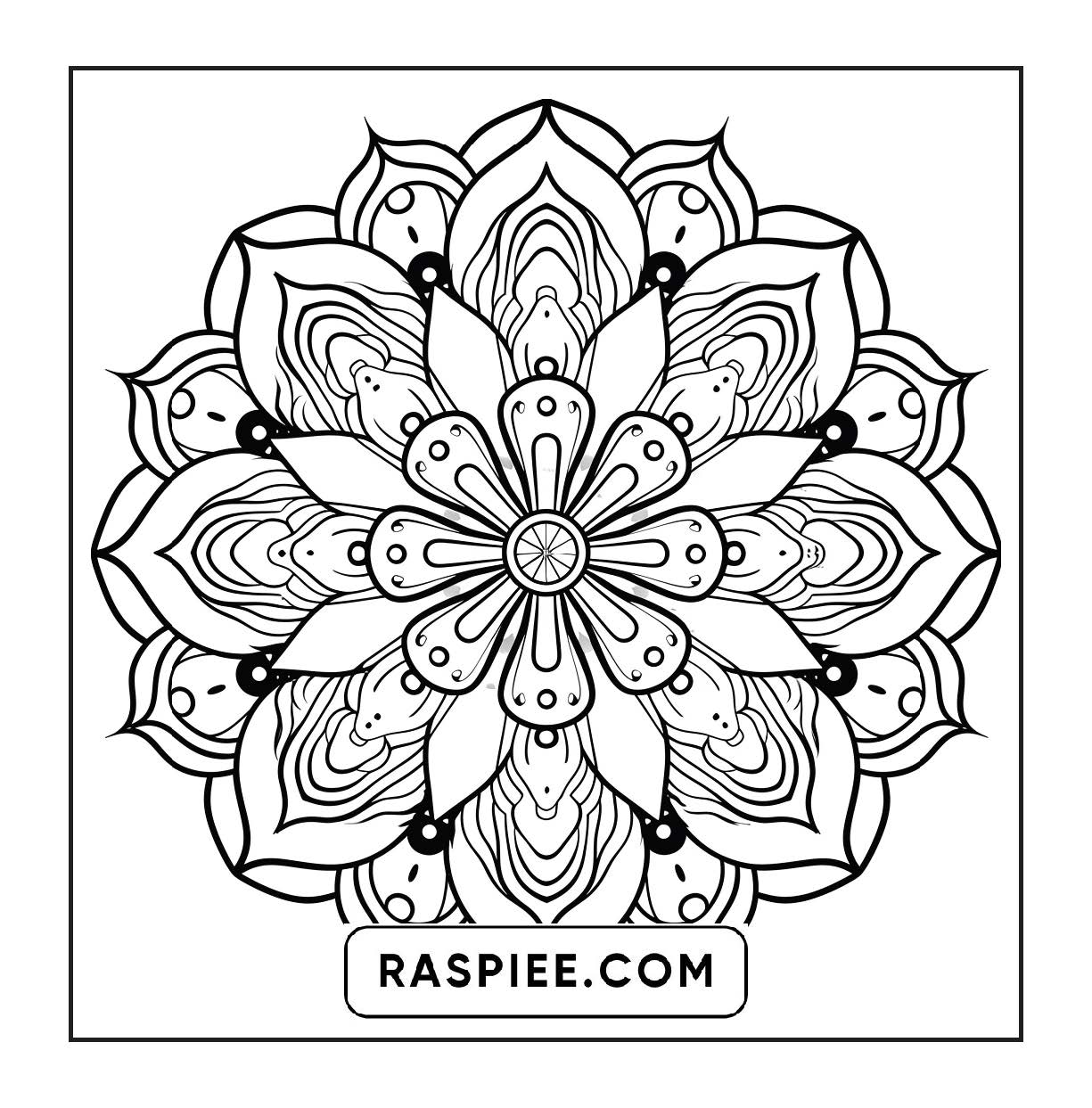 250 Mandala Adult Coloring Pages Vol.2