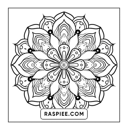 250 Mandala Adult Coloring Pages Vol.2
