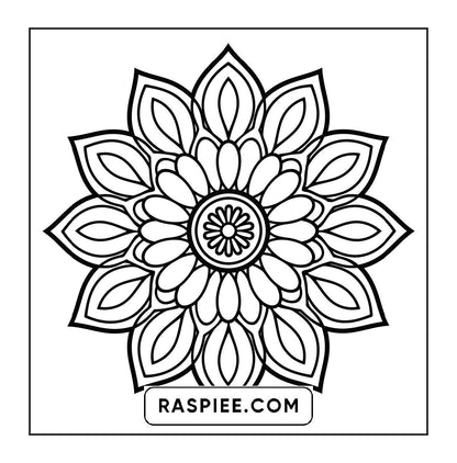 250 Mandala Adult Coloring Pages Vol.2