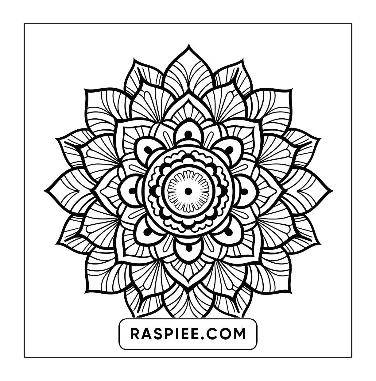 250 Mandala Adult Coloring Pages Vol.2