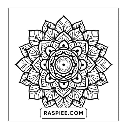 250 Mandala Adult Coloring Pages Vol.2