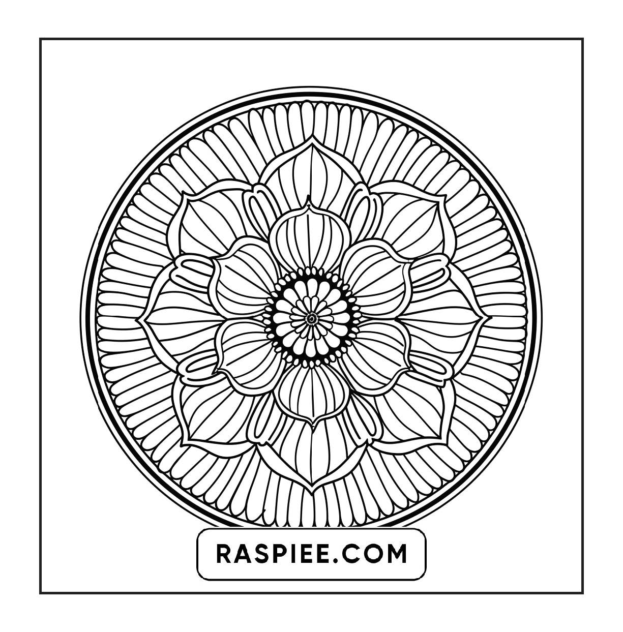 250 Mandala Adult Coloring Pages Vol.2