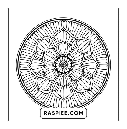 250 Mandala Adult Coloring Pages Vol.2