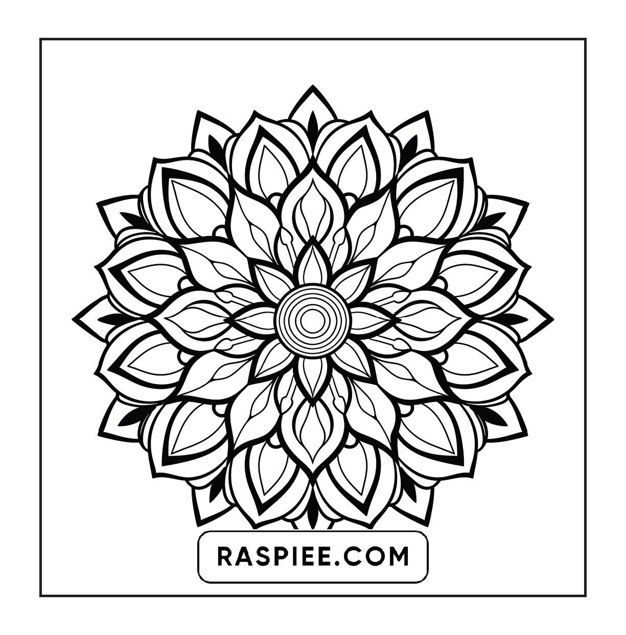 250 Mandala Adult Coloring Pages Vol.2