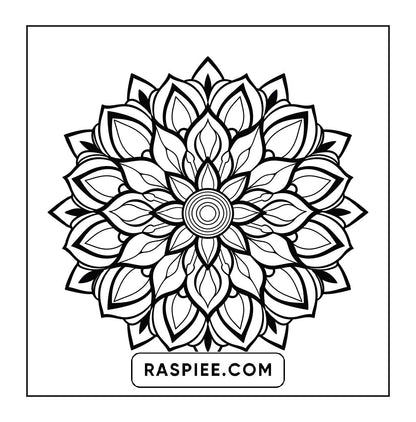 250 Mandala Adult Coloring Pages Vol.2