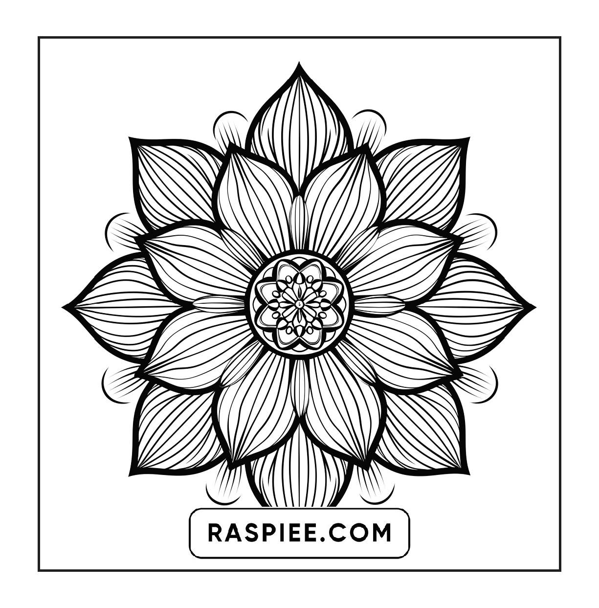 250 Mandala Adult Coloring Pages Vol.2