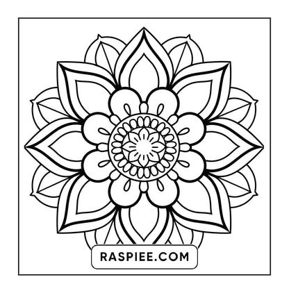 250 Mandala Adult Coloring Pages Vol.2