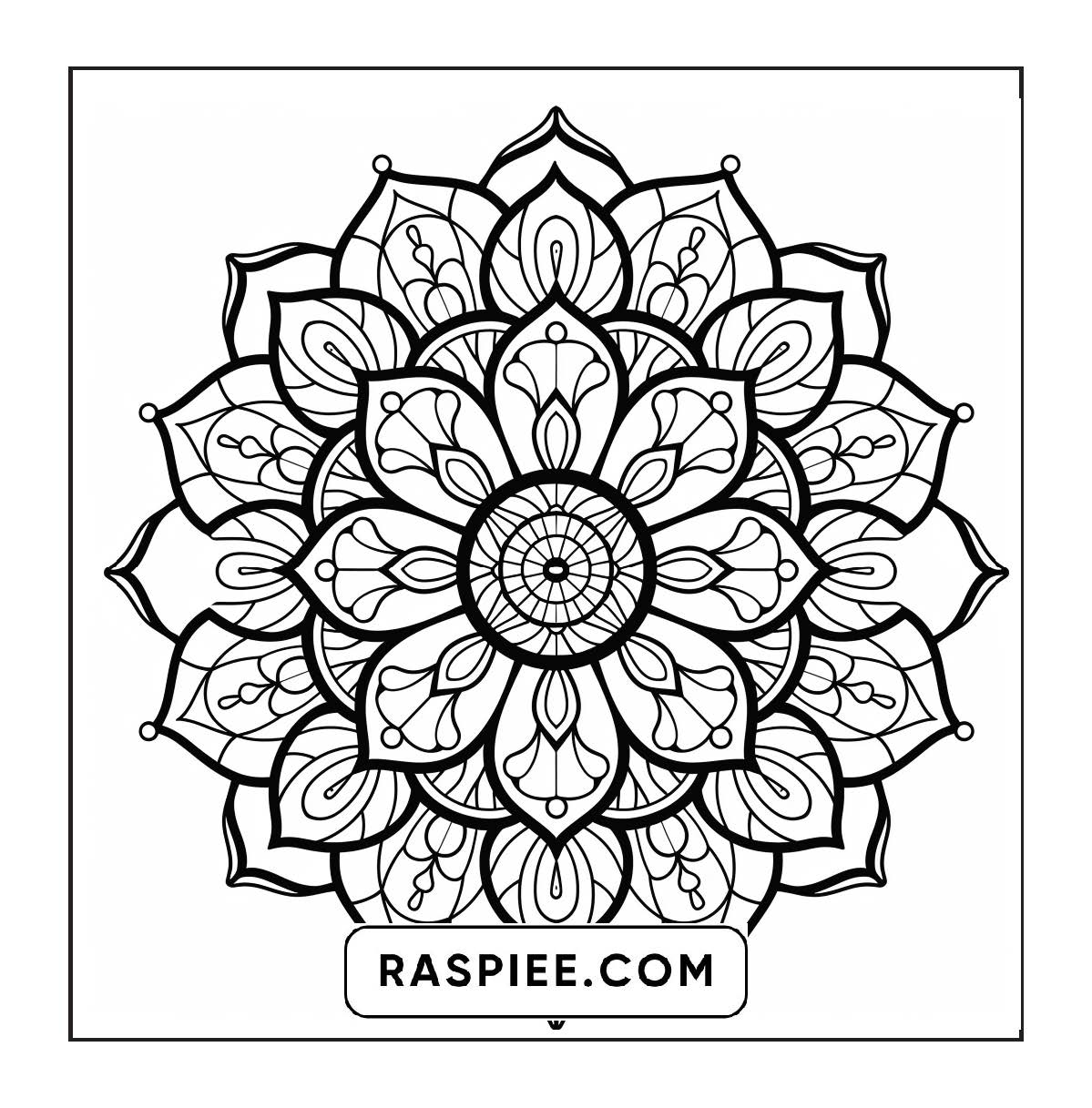 250 Mandala Adult Coloring Pages Vol.2