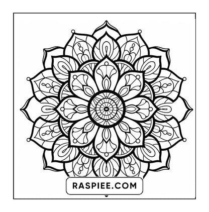 250 Mandala Adult Coloring Pages Vol.2