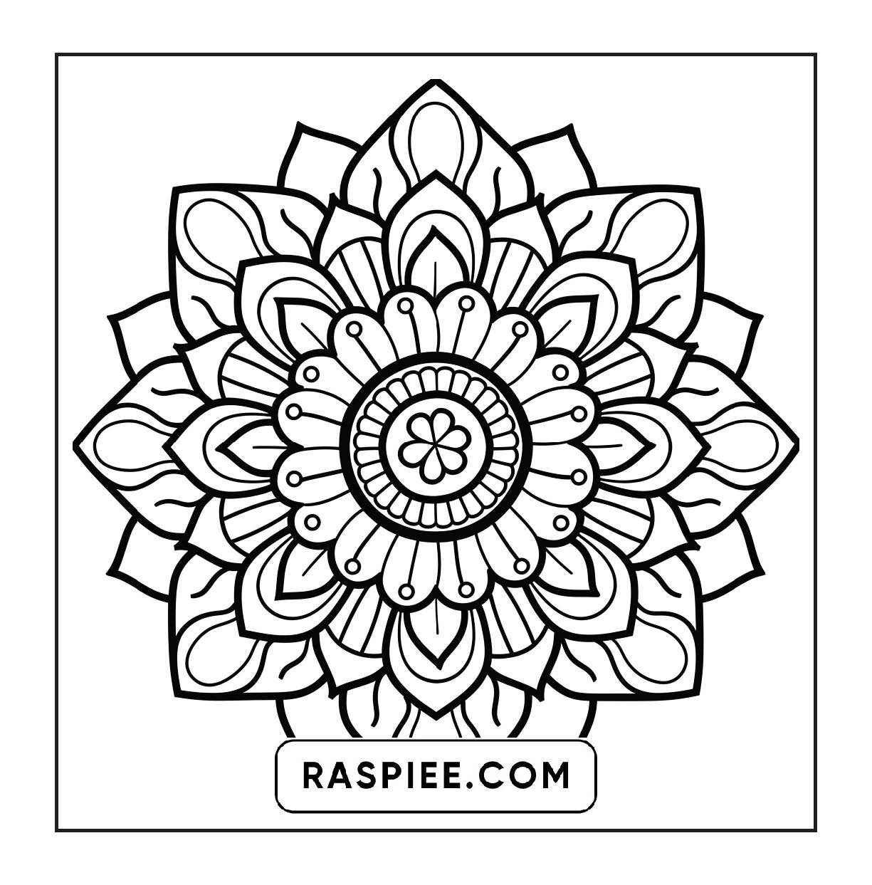 250 Mandala Adult Coloring Pages Vol.2