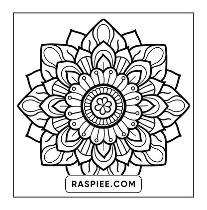 250 Mandala Adult Coloring Pages Vol.2