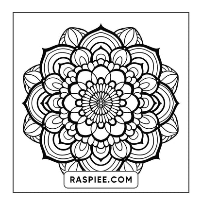 250 Mandala Adult Coloring Pages Vol.2
