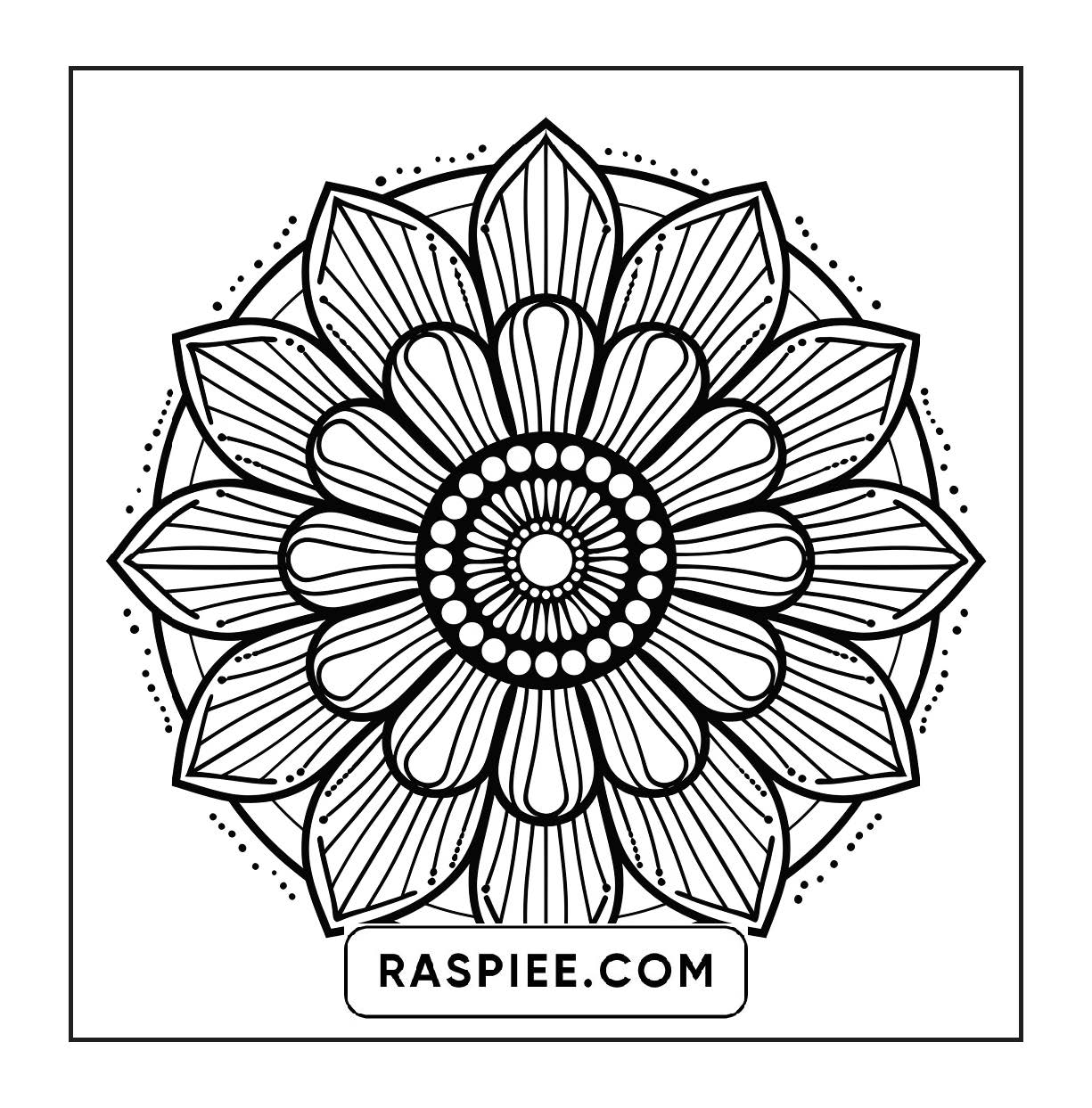 250 Mandala Adult Coloring Pages Vol.2