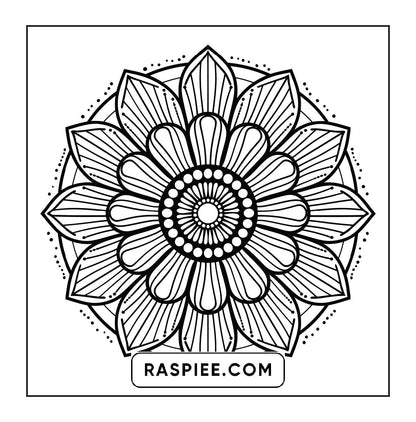 250 Mandala Adult Coloring Pages Vol.2