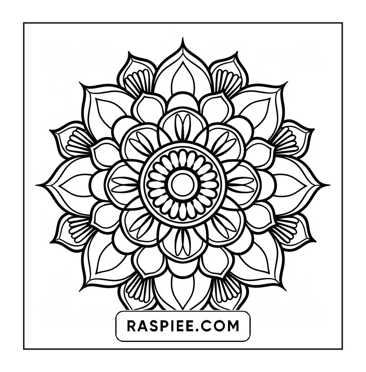 250 Mandala Adult Coloring Pages Vol.2