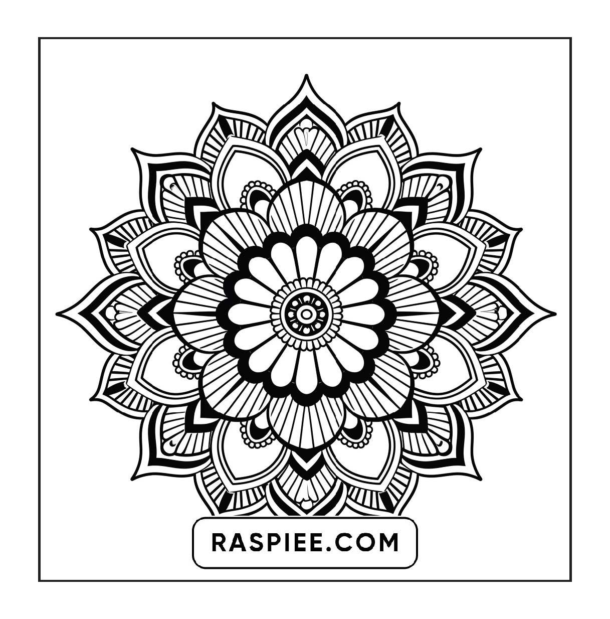 250 Mandala Adult Coloring Pages Vol.2