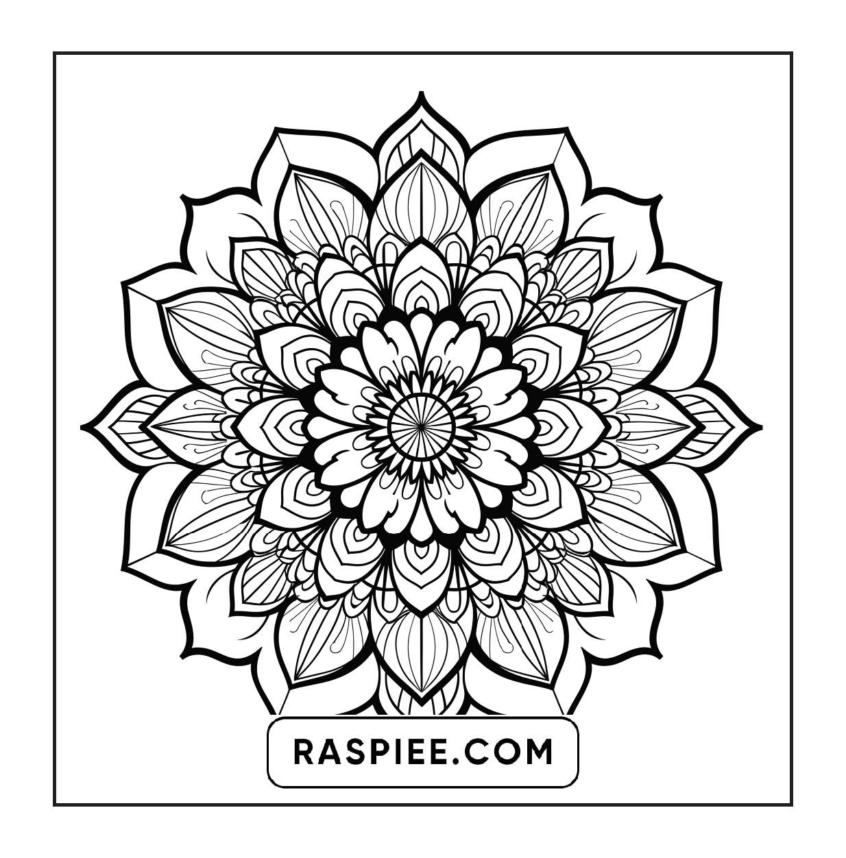 250 Mandala Adult Coloring Pages Vol.2