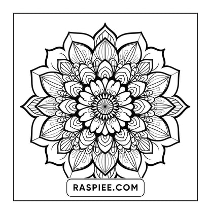 250 Mandala Adult Coloring Pages Vol.2