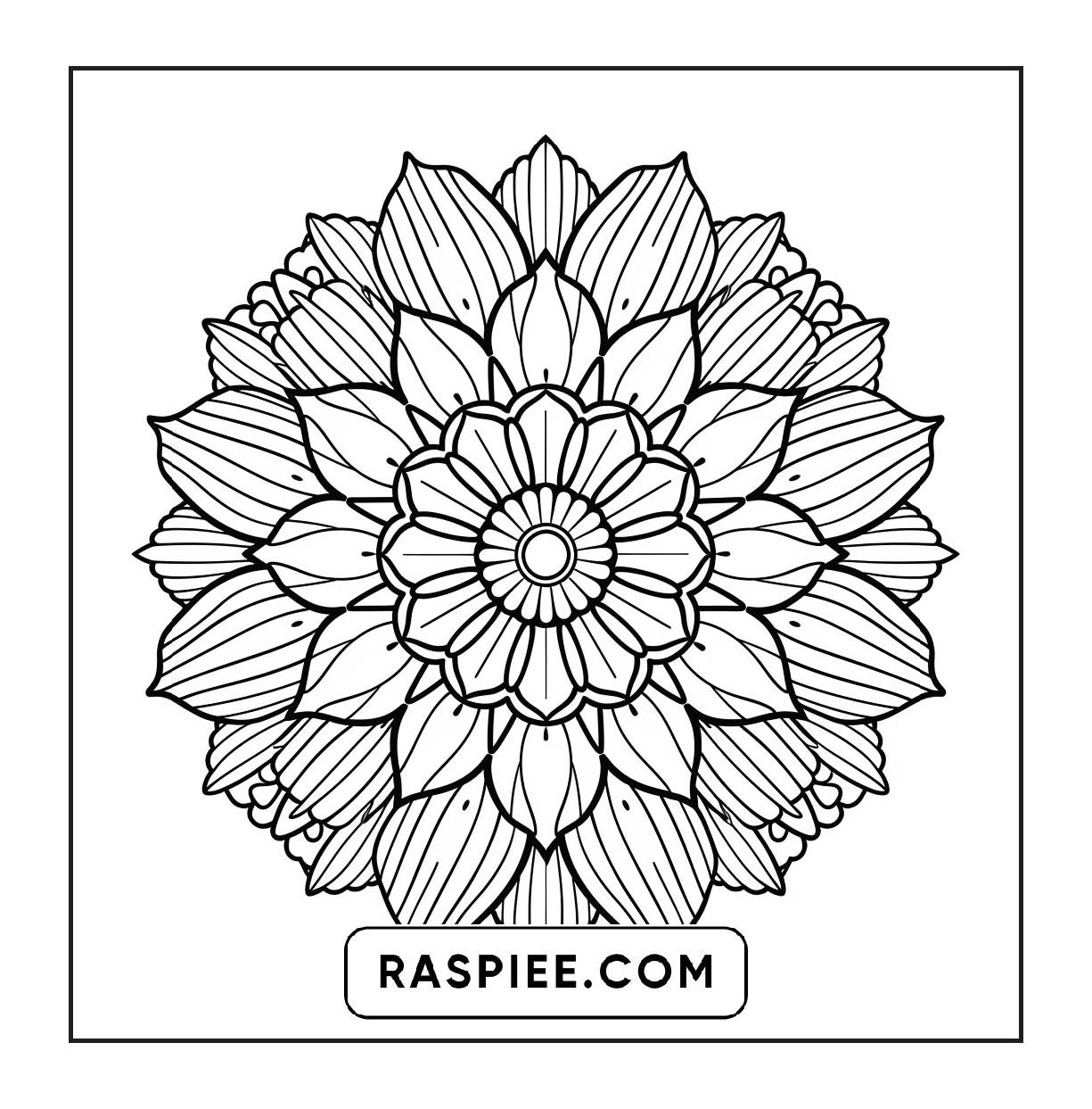 250 Mandala Adult Coloring Pages Vol.2