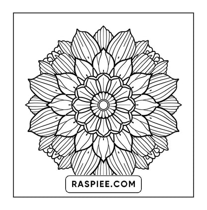 250 Mandala Adult Coloring Pages Vol.2