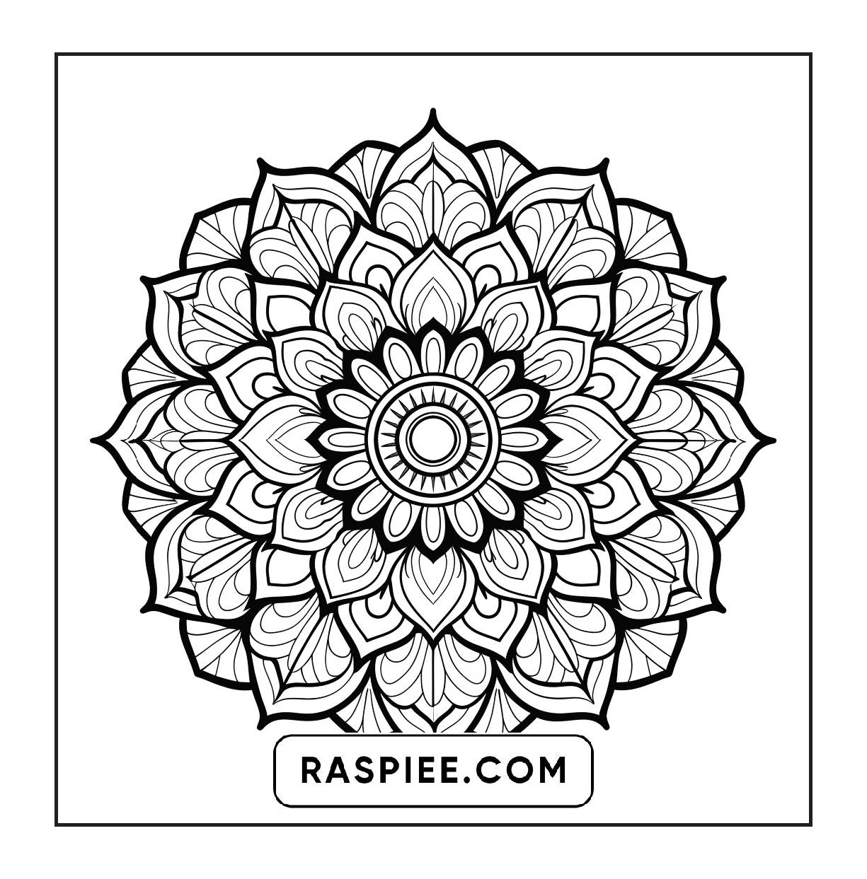 250 Mandala Adult Coloring Pages Vol.2