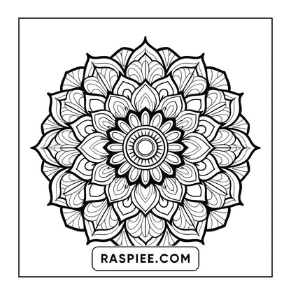 250 Mandala Adult Coloring Pages Vol.2