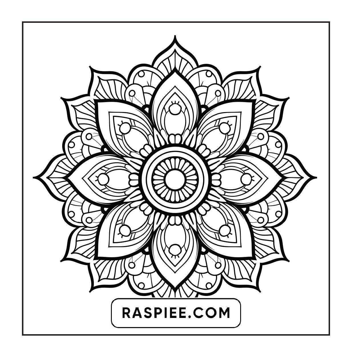 250 Mandala Adult Coloring Pages Vol.2