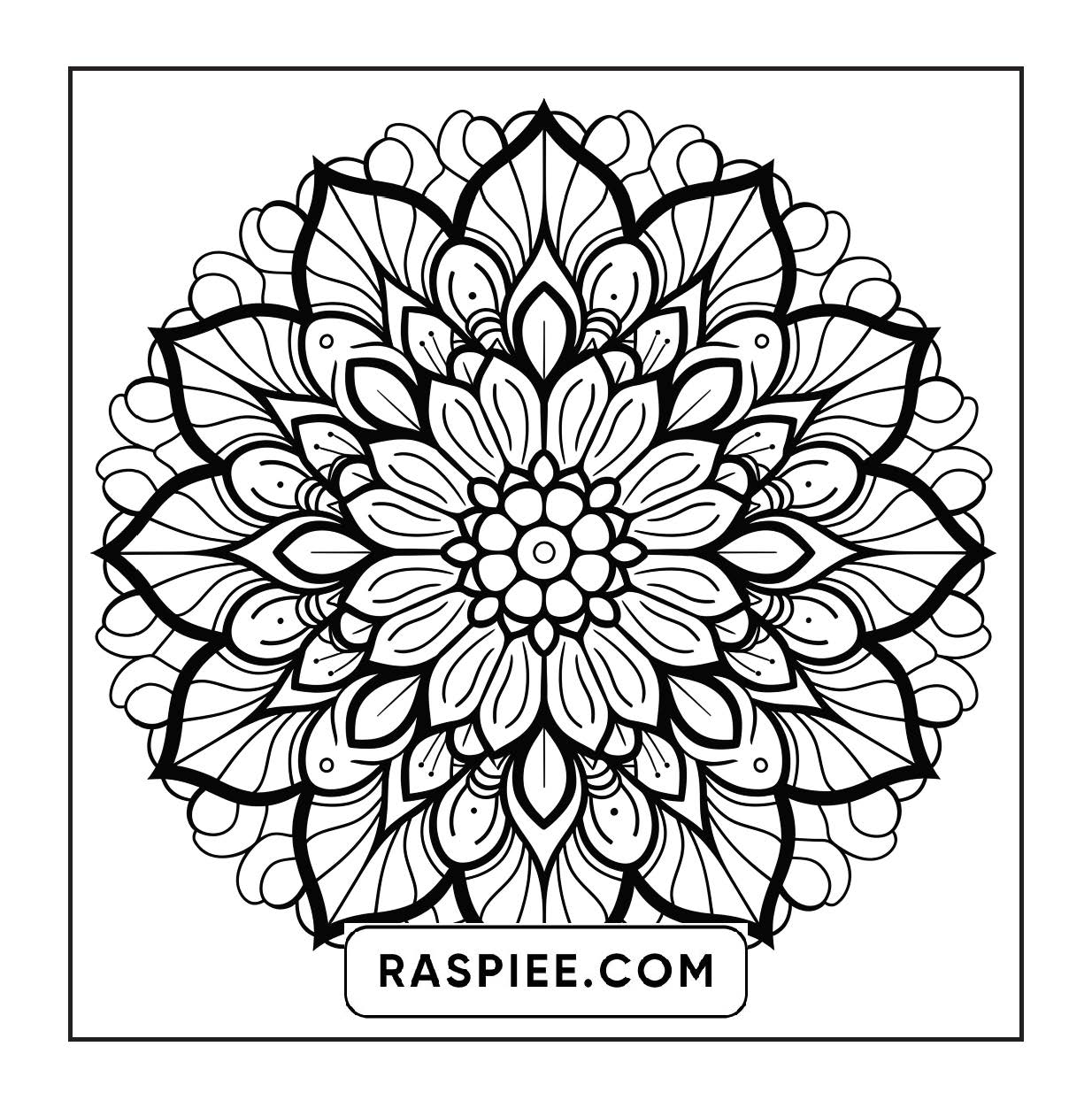 250 Mandala Adult Coloring Pages Vol.2