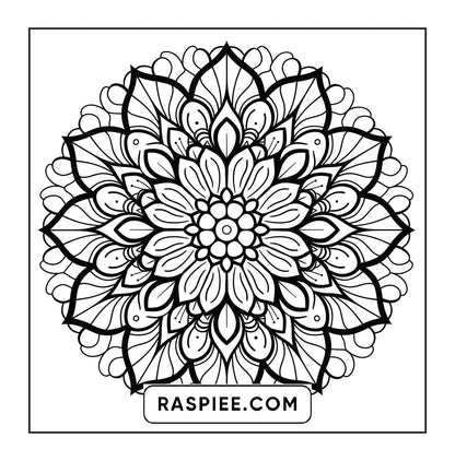 250 Mandala Adult Coloring Pages Vol.2