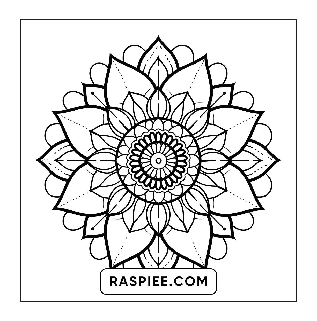250 Mandala Adult Coloring Pages Vol.2