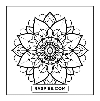 250 Mandala Adult Coloring Pages Vol.2