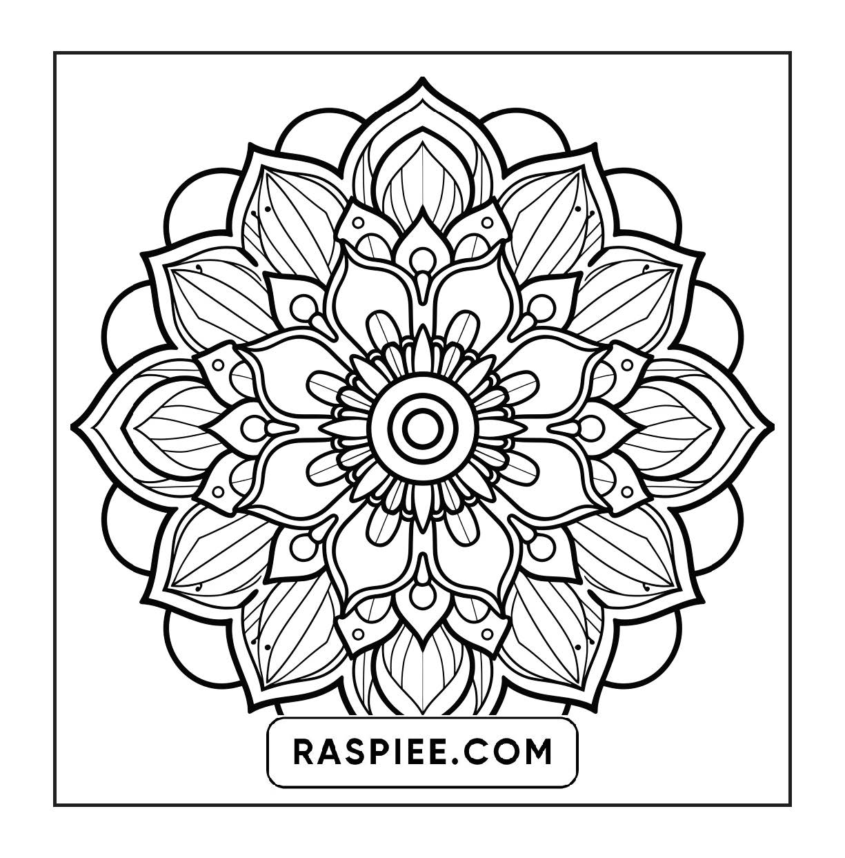 250 Mandala Adult Coloring Pages Vol.2
