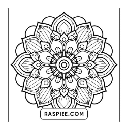 250 Mandala Adult Coloring Pages Vol.2