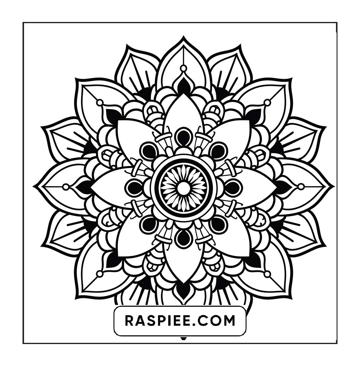250 Mandala Adult Coloring Pages Vol.2