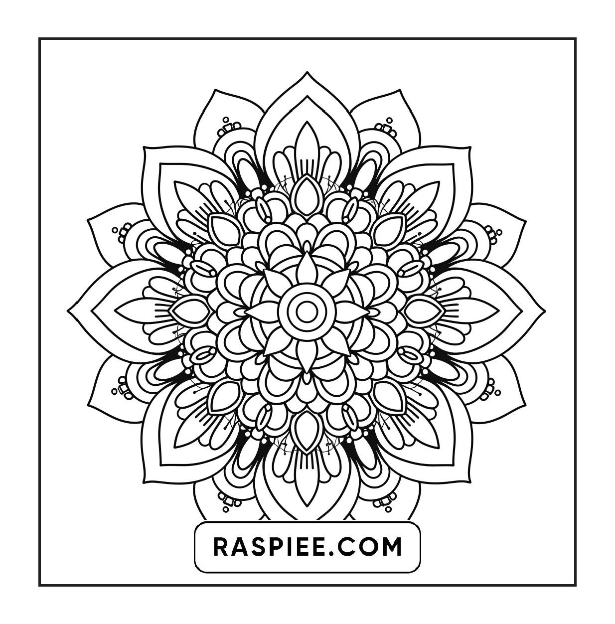 250 Mandala Adult Coloring Pages Vol.2