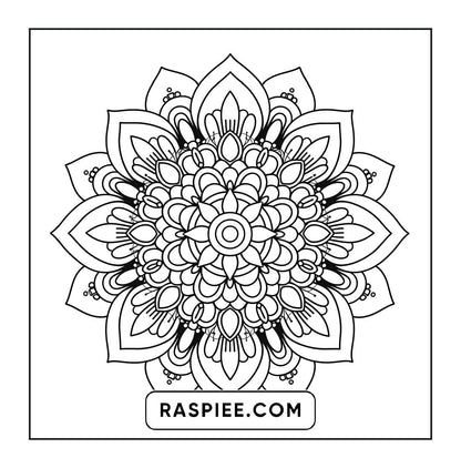 250 Mandala Adult Coloring Pages Vol.2