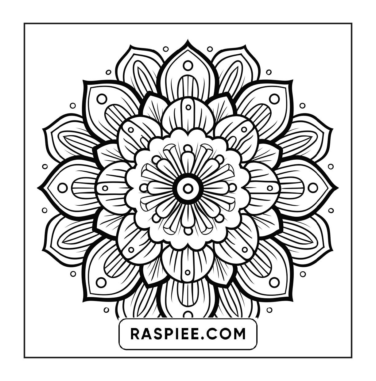 250 Mandala Adult Coloring Pages Vol.2