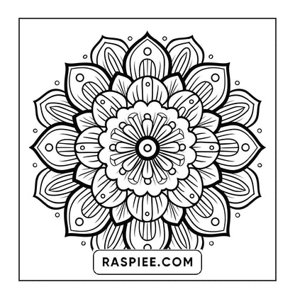 250 Mandala Adult Coloring Pages Vol.2