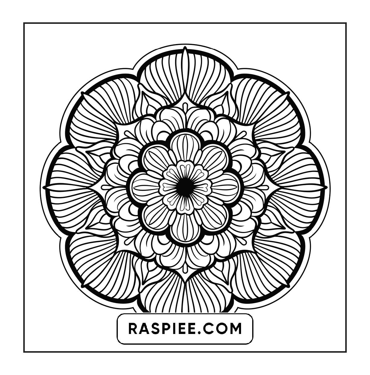 250 Mandala Adult Coloring Pages Vol.2