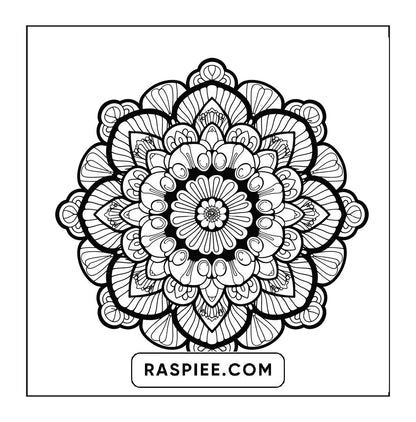 250 Mandala Adult Coloring Pages Vol.2